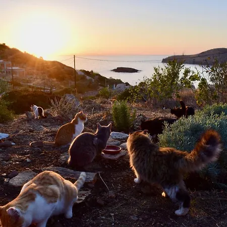 Villa Beautiful In Paradise Syros Greece *